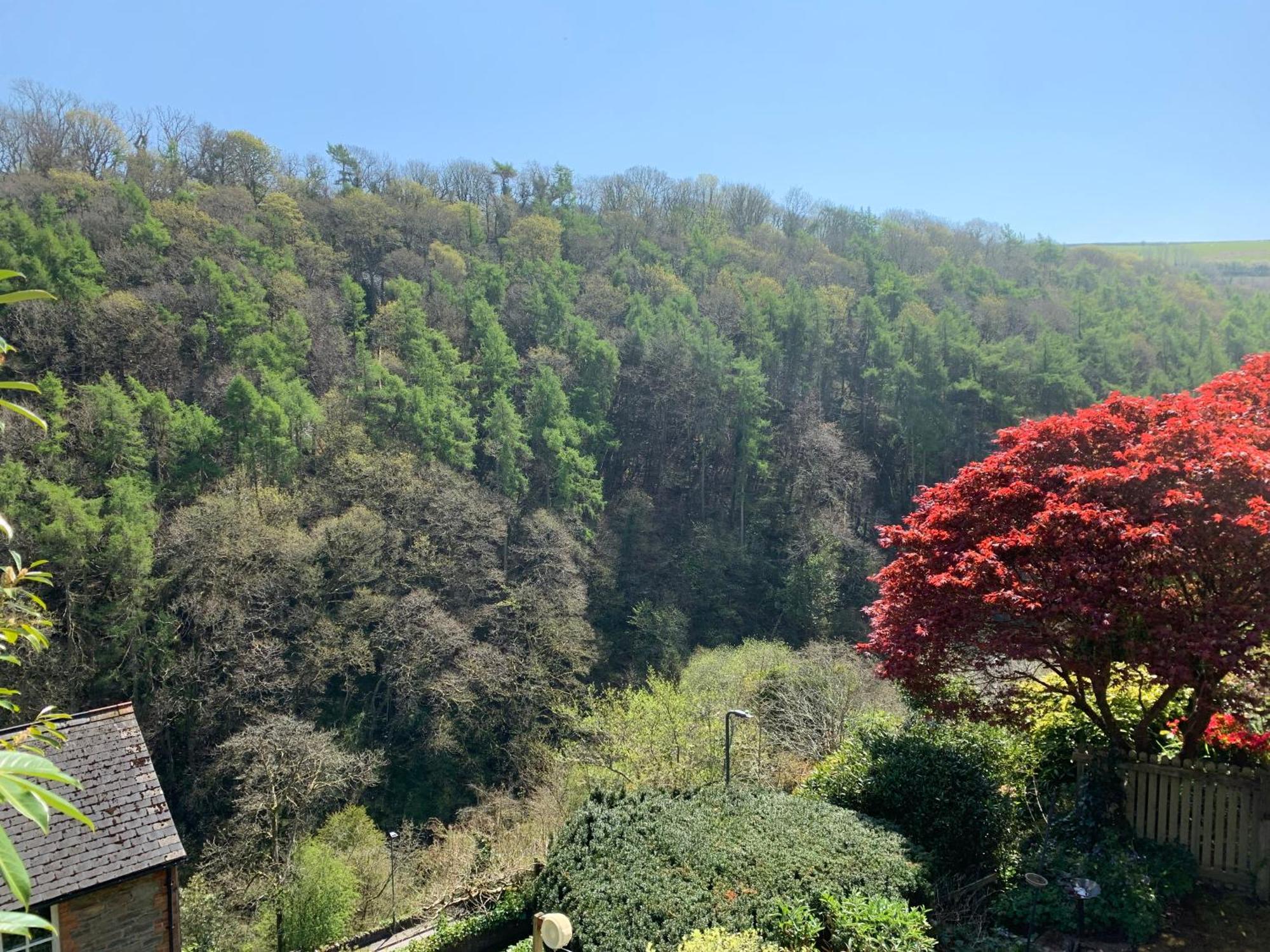 Pine Lodge Lynton Eksteriør billede
