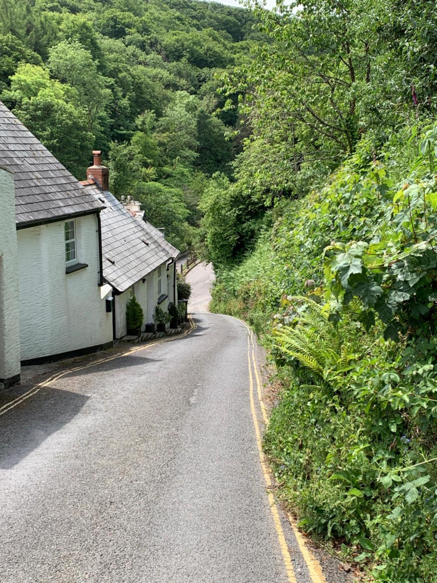 Pine Lodge Lynton Eksteriør billede