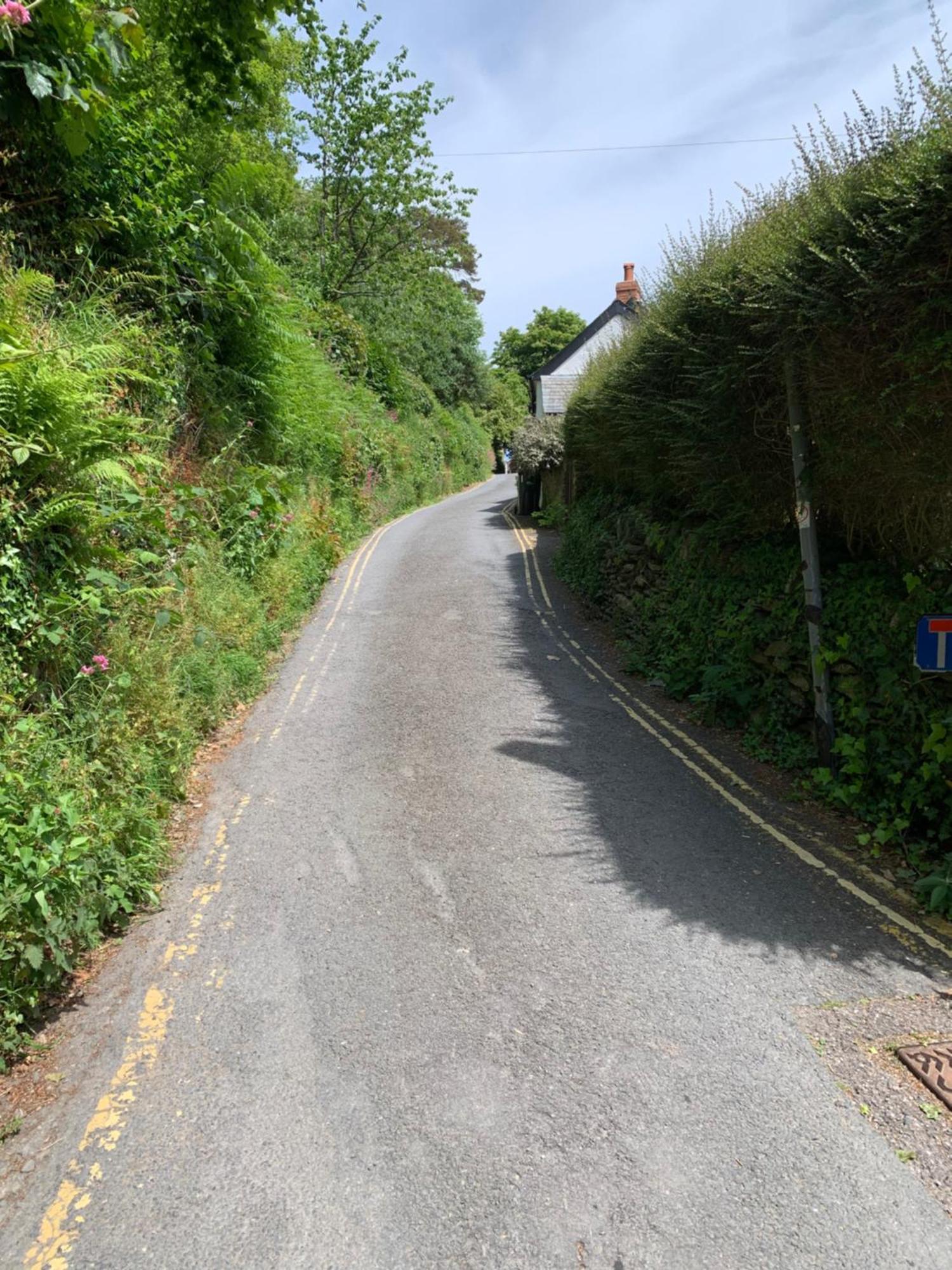 Pine Lodge Lynton Eksteriør billede