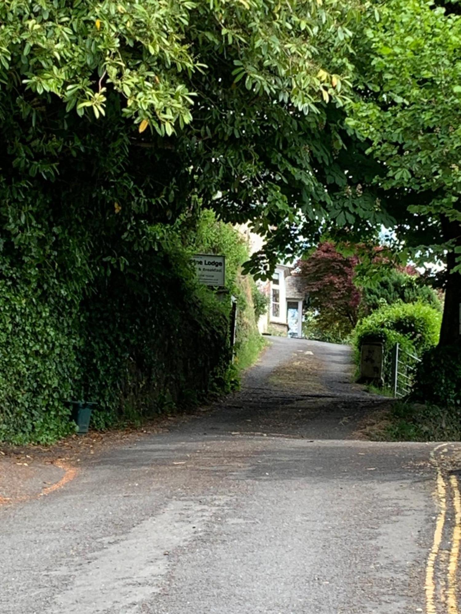Pine Lodge Lynton Eksteriør billede