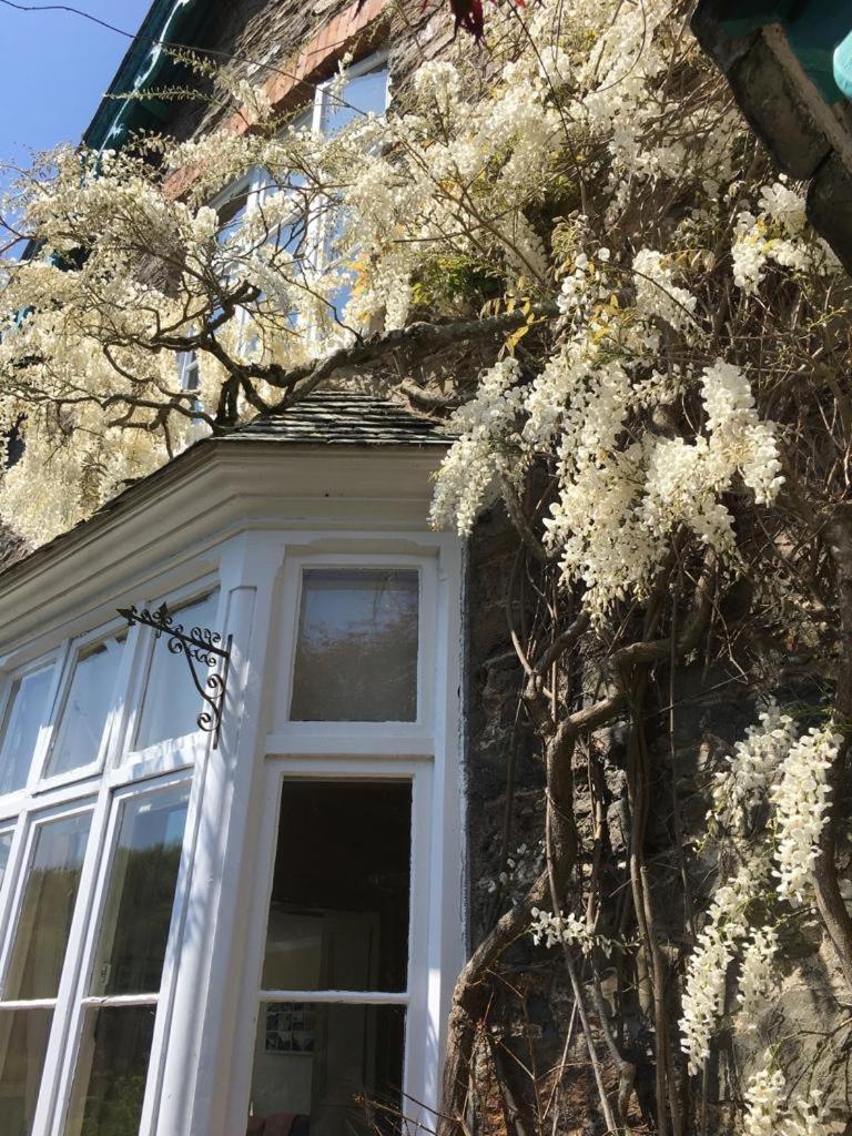 Pine Lodge Lynton Eksteriør billede