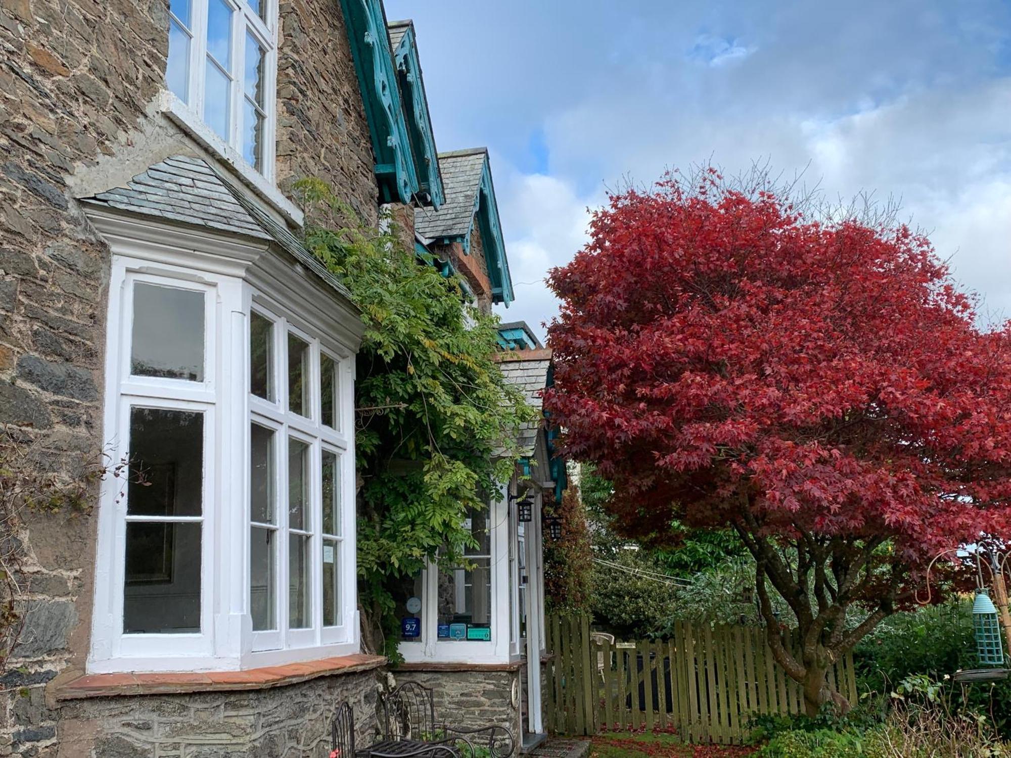 Pine Lodge Lynton Eksteriør billede